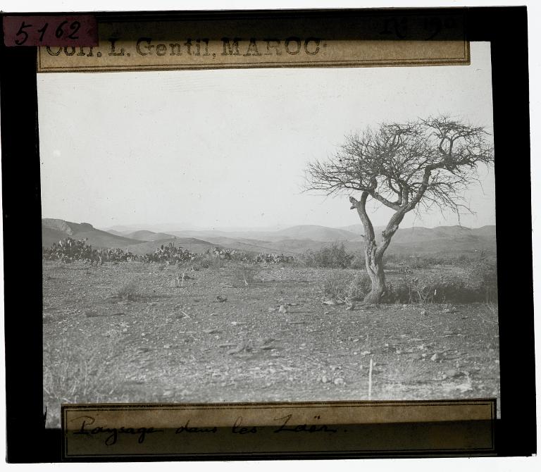 Paysage dans les Zaër