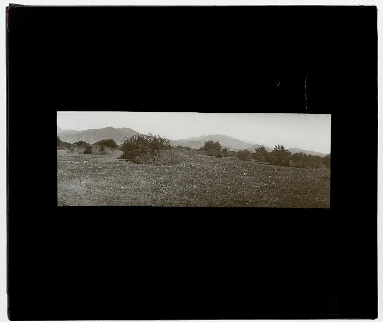 Plaine des Houara (Souss)