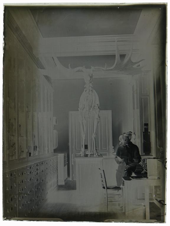 Galérie de zoologie de la Sorbonne