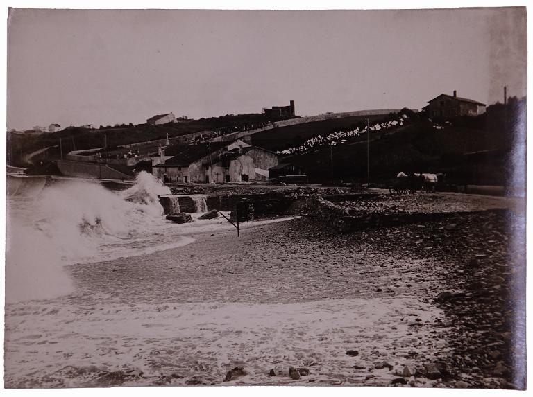 Paysage côtier