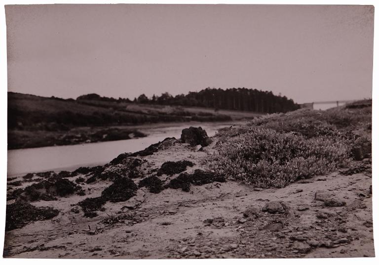 Paysage de bord de fleuve